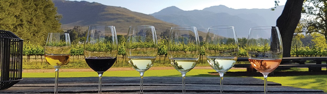 Exploring South Africa, Victoria Falls, and Botswana