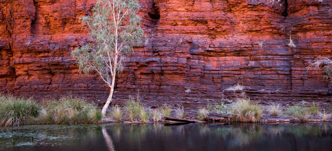 Coral Coast and Pilbara Explorer